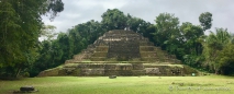Jaguar Tempel Lamanai