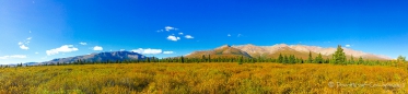 Ausblicke im Denali Nationalpark