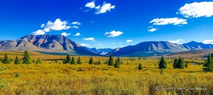 Denali Nationalpark