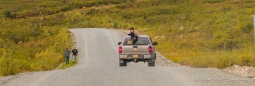 unser erstes Erlebnis auf dem Denali-Highway - 3 vielleicht 14-15 jährige bewaffnet auf der Jagd