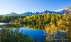 die vorherrschenden Farben sind grün, gelb und blau