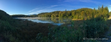 Hidden Creek Overlook