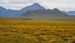 Eindrücke entlang des Denali-Highways