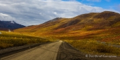 die sanften Berge in der Herbstfärbung der Tundra