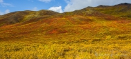 diesen Landschaftsgärtner, der für diese Gestaltung zuständig ist, würden wir sofort engagieren ;)