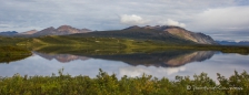 Eindrücke entlang des Denali-Highways