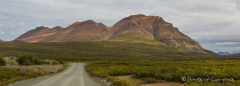 Eindrücke entlang des Denali-Highways