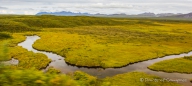 Eindrücke entlang des Denali-Highways