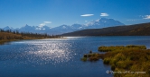 Der Denali & die umliegenden Berge vorm "Wonder Lake"