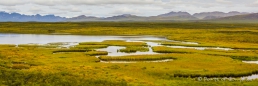 Eindrücke entlang des Denali-Highways