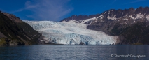 Aialik Glacier