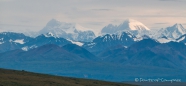 Immer wieder haben wir freie Sicht auf die Berge & Gletscher der Alaska-Range