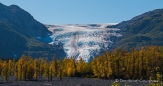 Exit Glacier im Kenai Fjord Nationalpark