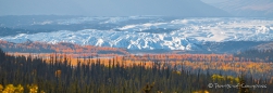 Blick auf den Matanuska Glacier hinter toller Herbstfärbung