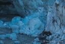 Exit Glacier