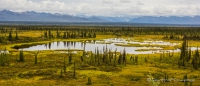 Eindrücke entlang des Denali-Highways