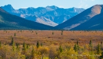 Ausblicke im Denali Nationalpark