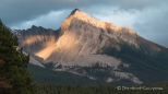 Abendstimmung am Maligne Lake