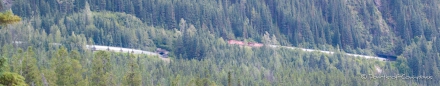 Blick auf den Spiral Tunnel - unten verschwinden die Anhänger und oben kommt die Lok bereits wieder