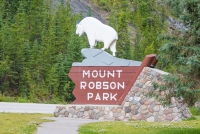 Bis zum Parkeingang des Mount Robson Parks sind wir gefahren...