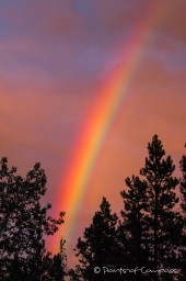 Abendlicher Regenbogen...