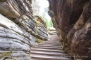 der Weg zu den Athabasca Falls im Jasper Nationalpark