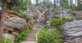 der Weg zu den Athabasca Falls im Jasper Nationalpark