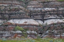 Badlands um Drumheller