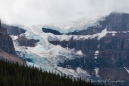 durch die Rocky‘s entlang des Icefield-Parkways