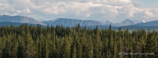 tolle Berge & Wälder, wenn man sie stehen lässt...