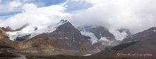 am Columbia Icefield