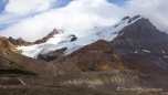 am Columbia Icefield