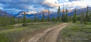 Morgenstimmung entlang des Saskatchewan-Rivers