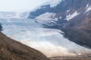 das Columbia Icefield