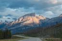 Morgenstimmung entlang des Saskatchewan-Rivers