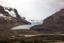 das Columbia Icefield