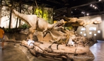 Royal Tyrrell Museum