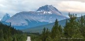 entlang des Saskatchewan-Rivers