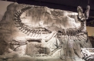 Royal Tyrrell Museum