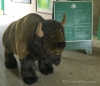 Ein Plüsch-Bison begrüßt uns im Elk-Island-Nationalpark