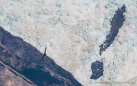 Andenkondor vor dem Gletscher