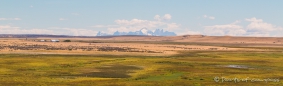 erster Ausblick auf den Torres del Paine - noch von Argentinien aus... auf dem Weg zur chilenischen Grenze