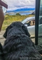 internationale Kommunikation... deutscher Hund plaudert mit ecuadorianischem Hund und wir mit den beiden Japanern, die wir das erste Mal am Lago Atitlan getroffen hatten