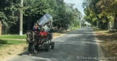 auch mit dem Pferdekarren geht es durch die Straßen von Buenos Aires