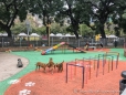 "Hundespielplatz" im Park