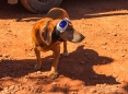 Fotoshooting mit Luke‘s Sonnenbrille ;) ... Uschi sieht echt cool aus