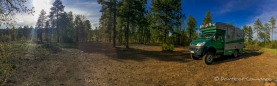 wunderschöne Lichtungen zum Verweilen im Coconino Forest