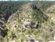 Dwellings (Felswohnungen) im Walnut Canyon