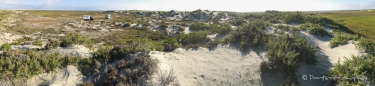 in den Dünen bei Guerrero Negro