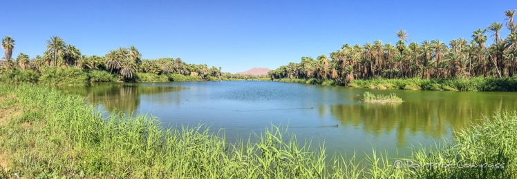 durch den Fluss ist hier genügend Wasser vorhanden für die Oase San Ignacio